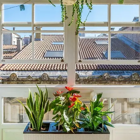 Hogar Catedral Apartment