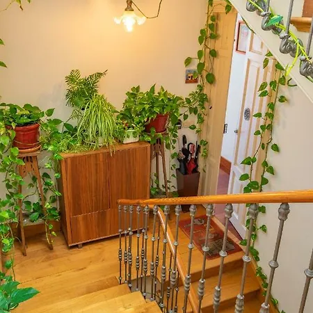 Hogar Catedral Apartment Santiago de Compostela